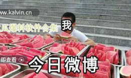 爆料吃瓜群众视频大全集,一场全民参与的娱乐盛宴